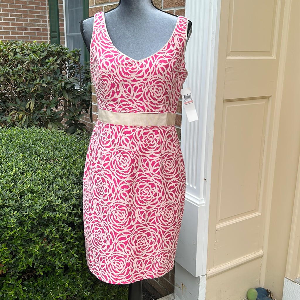 Maggy London Mid Dress. Fuchsia And Cream.